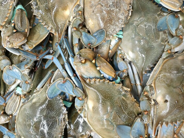 granchio-blu-vongole-cozze