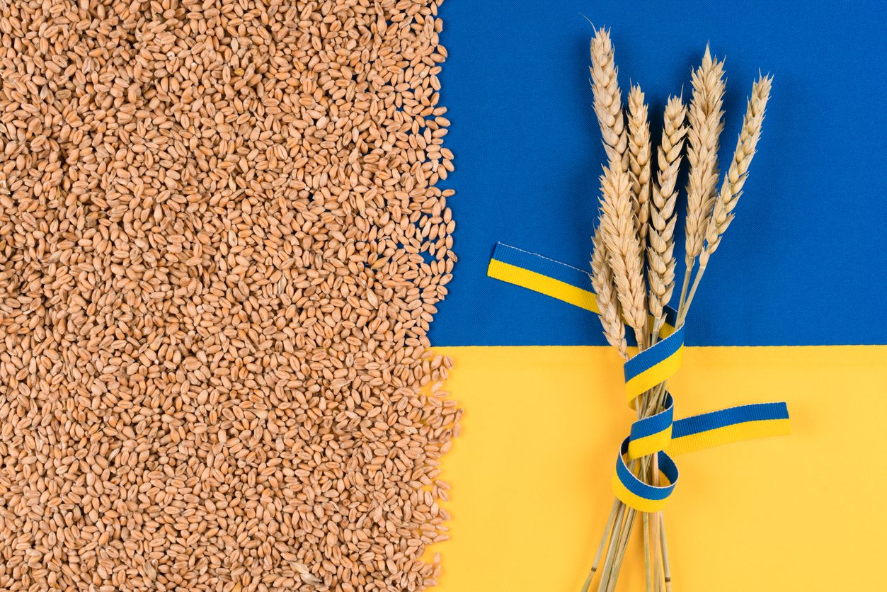 salta-accordo-grano-ucraina-russia