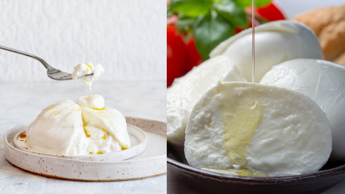 differenza-mozzarella-burrata
