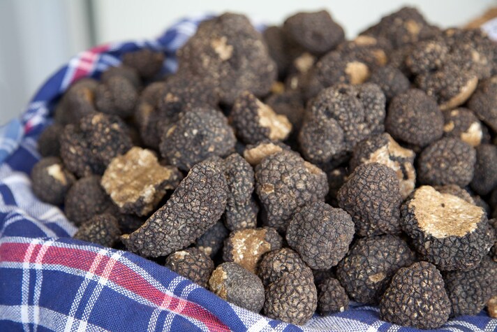 trucchetti-conoscere-tartufo