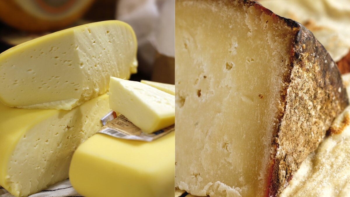 pecorino-sardo-romano-differenze
