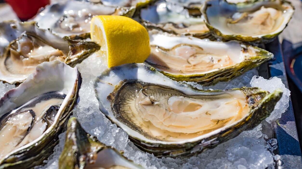 come-riconoscere-ostriche-di-qualita