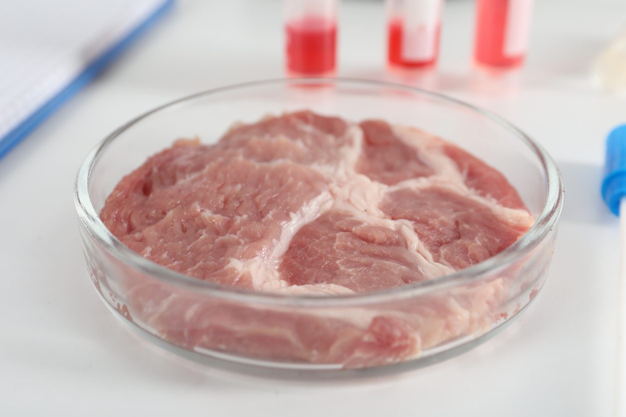 divieto-carne-coltivata-italia