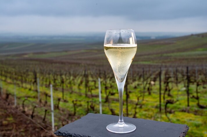 galateo-dello-champagne-come-servire
