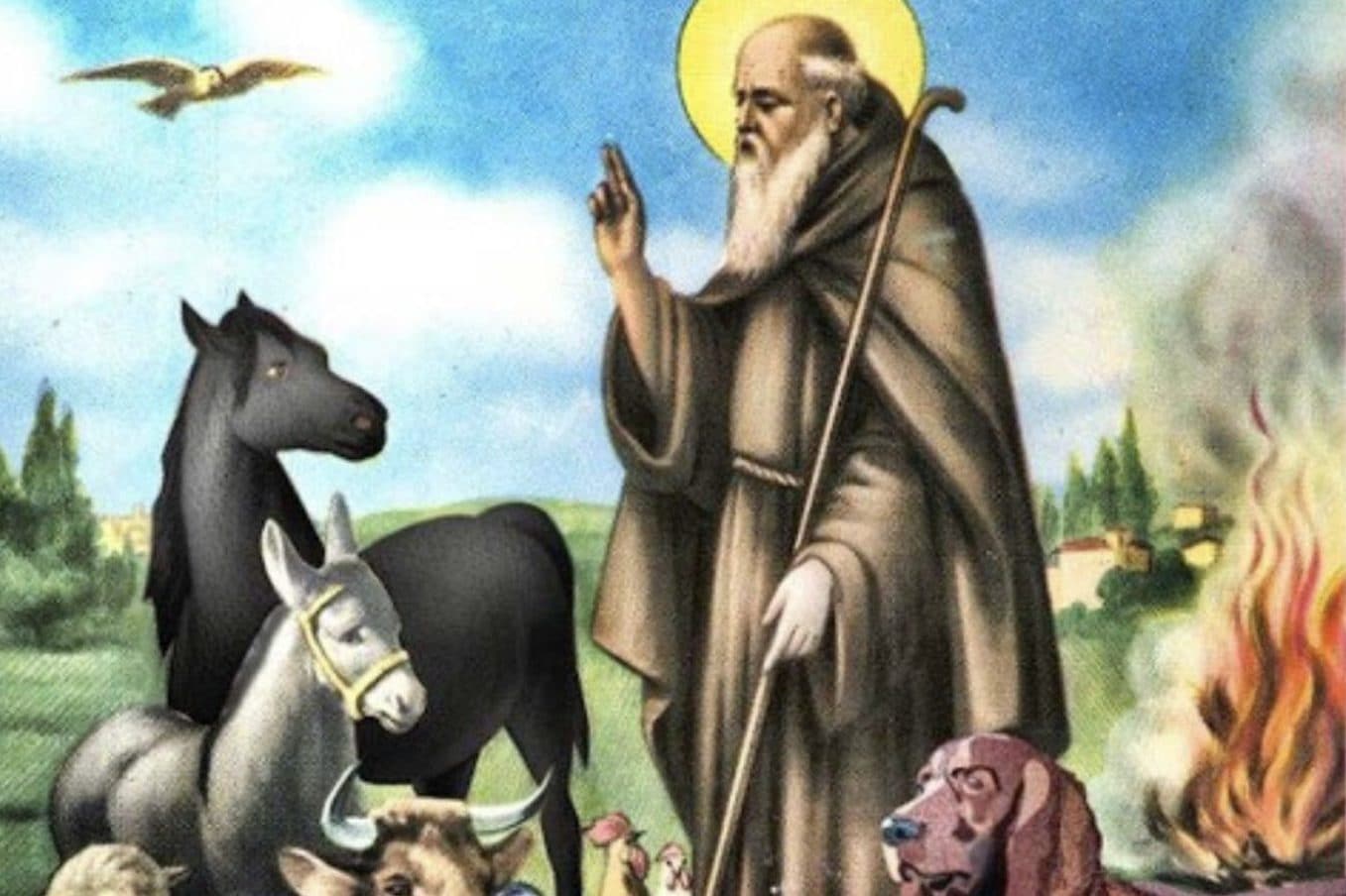 Sant Antonio Protettore Di Cosa Perché Sant'Antonio Abate è il protettore dei pizzaioli: c'entrano il