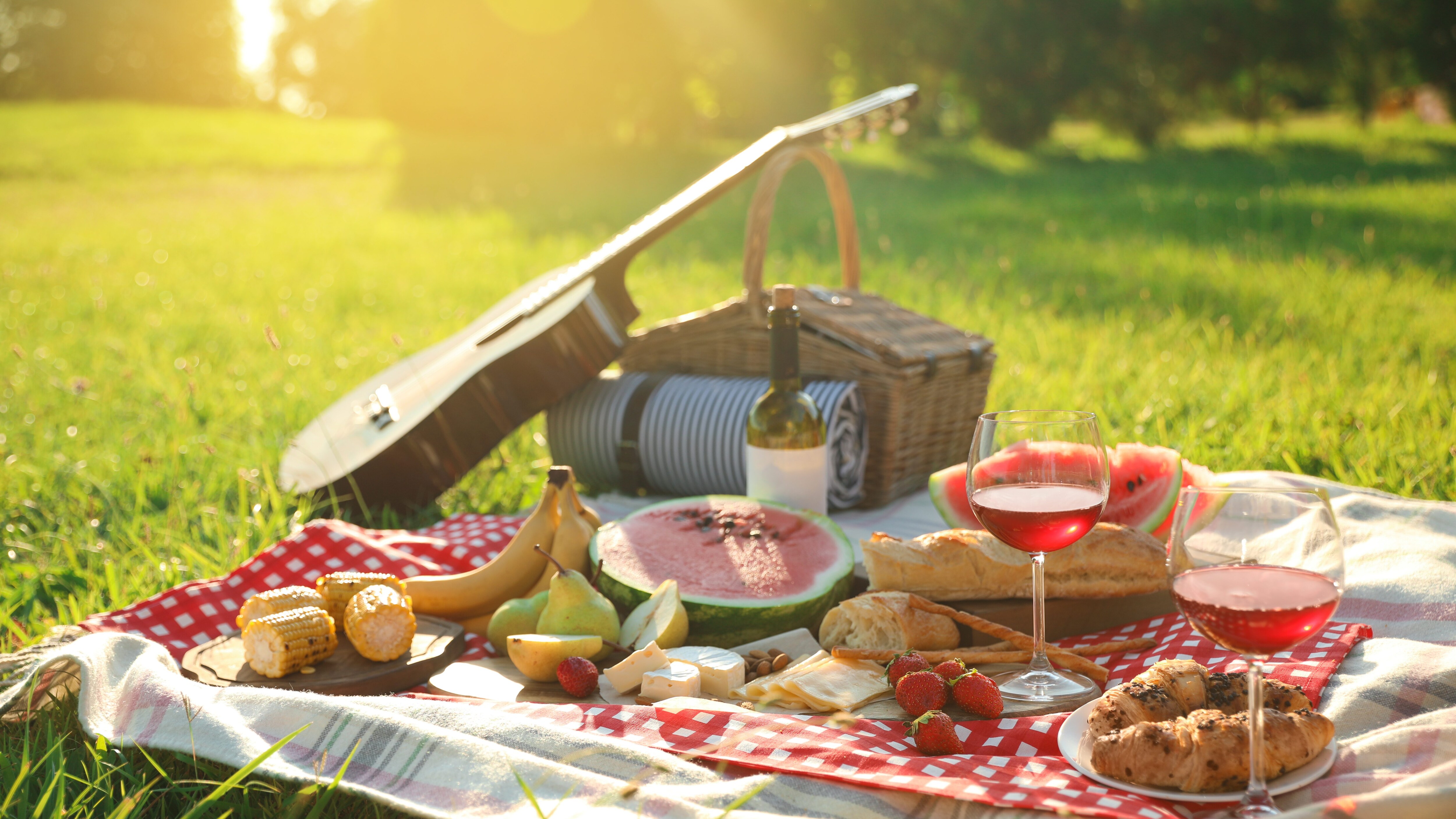 come-tenere-lontani-gli-insetti-picnic