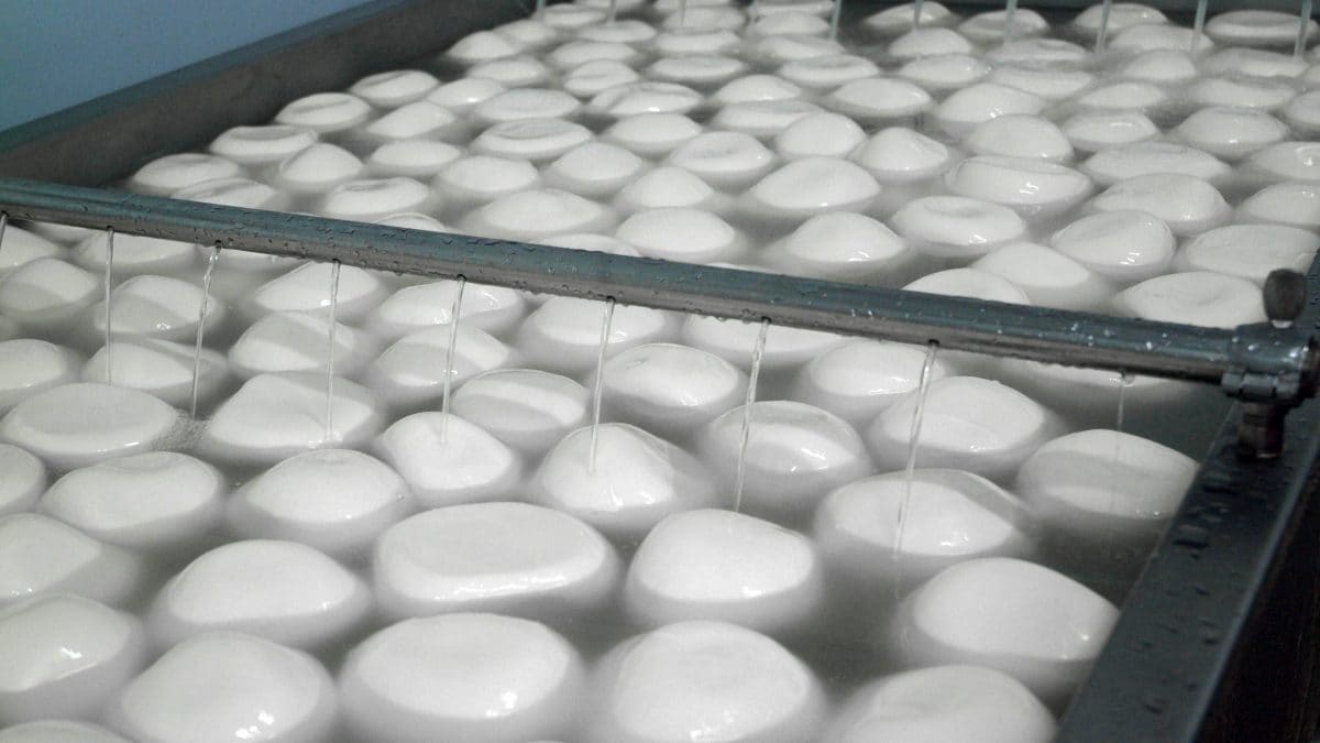 mozzarella-bufala-intelligenza-artificiale