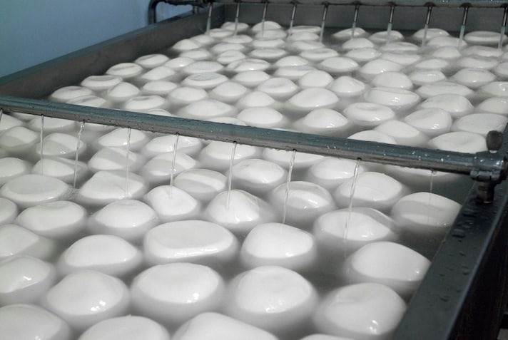 mozzarella-bufala-intelligenza-artificiale