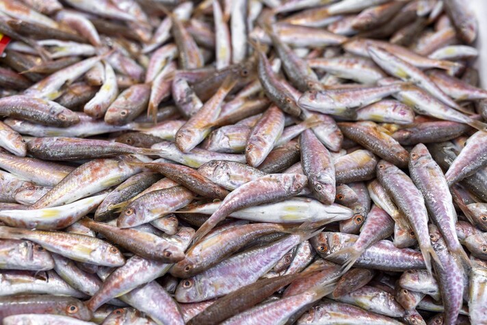 aumento-prezzo-pesce