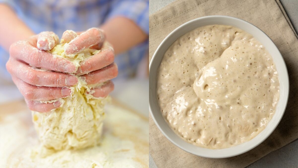 biga-poolish-differenza