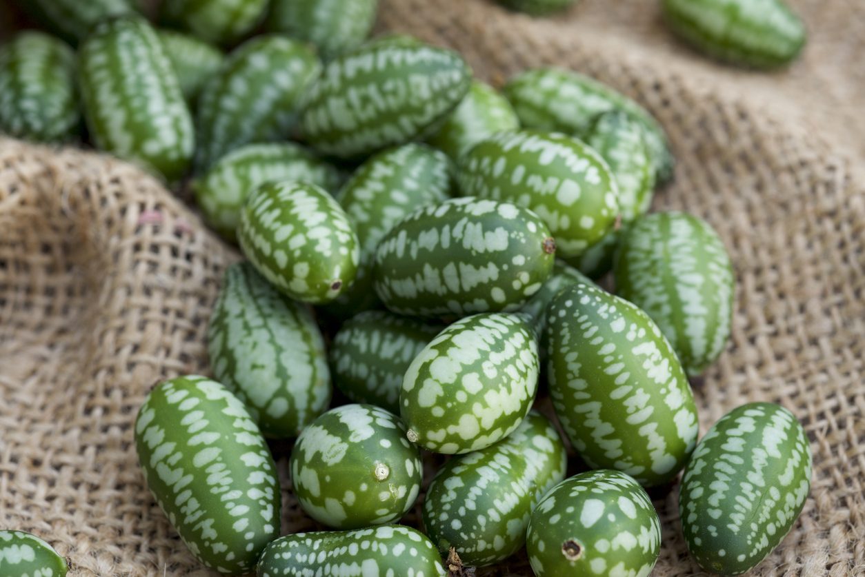 cucamelon-cos-e