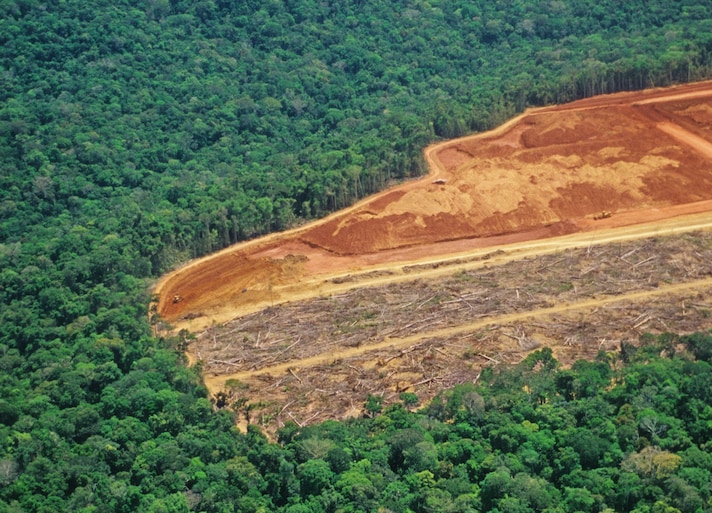 deforestazione-africa-cacao-anacardi-olio-di-palma