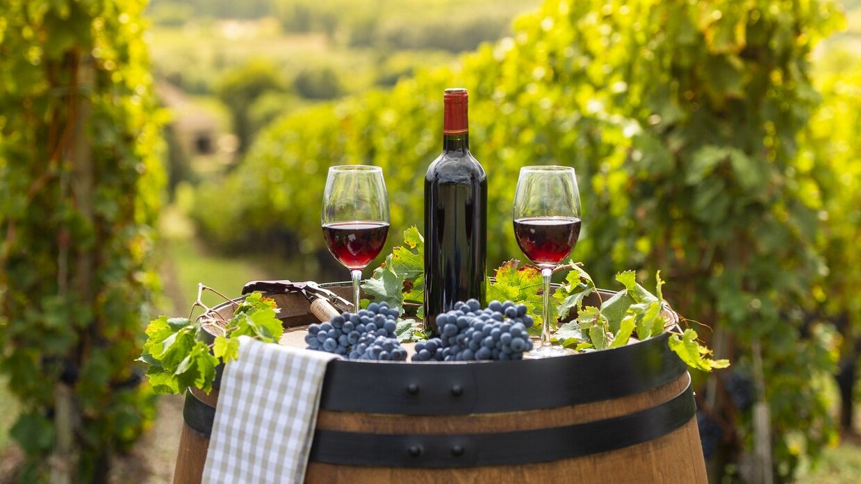 differenze-pinot-grigio-bianco-meunier-nero