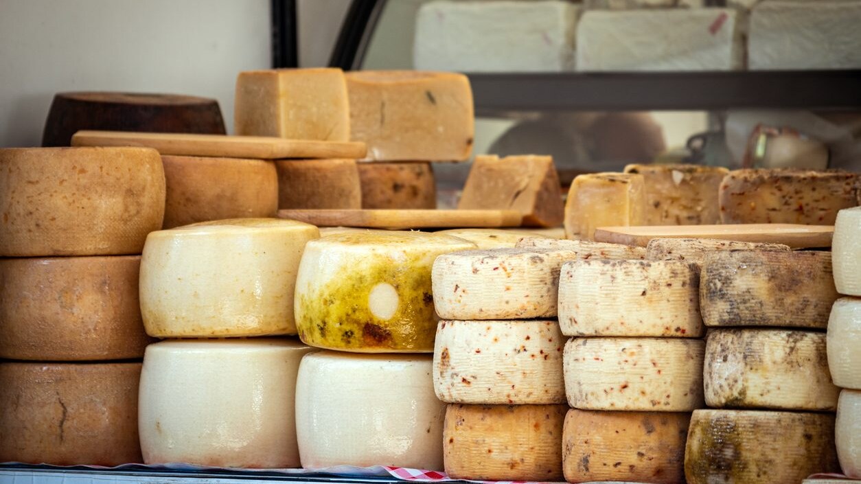 formaggi-lollobrigida-linee-guida