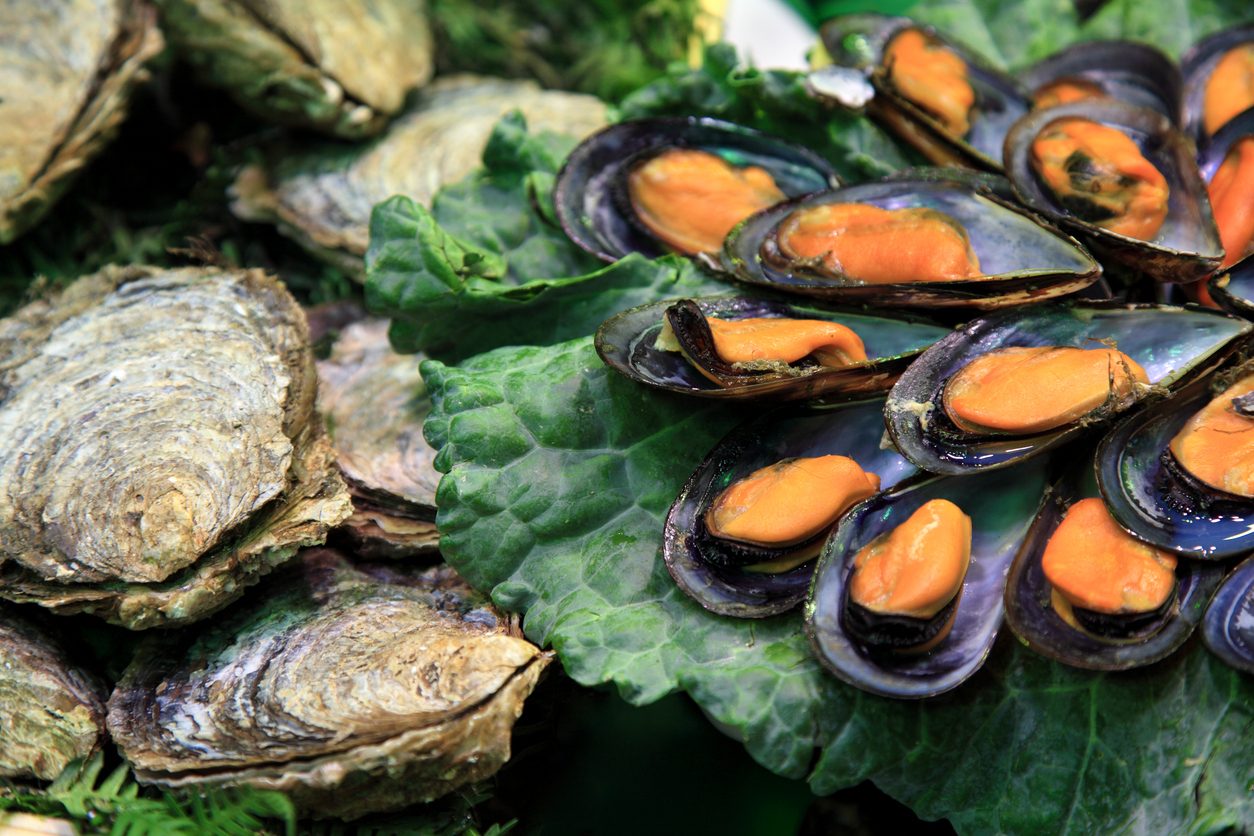cozze-ostriche-microplastiche