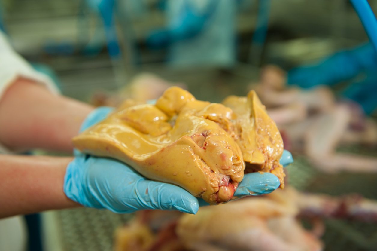 olimpiadi-foie-gras