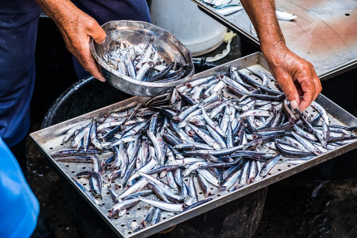 pesca-sostenibile-wwf