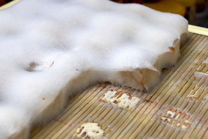 cibi-fermentati-marci-peggiori-tofu-ploso