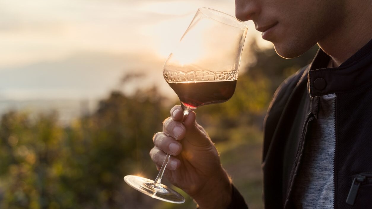 come-capire-se-il-vino-e-andato-a-male
