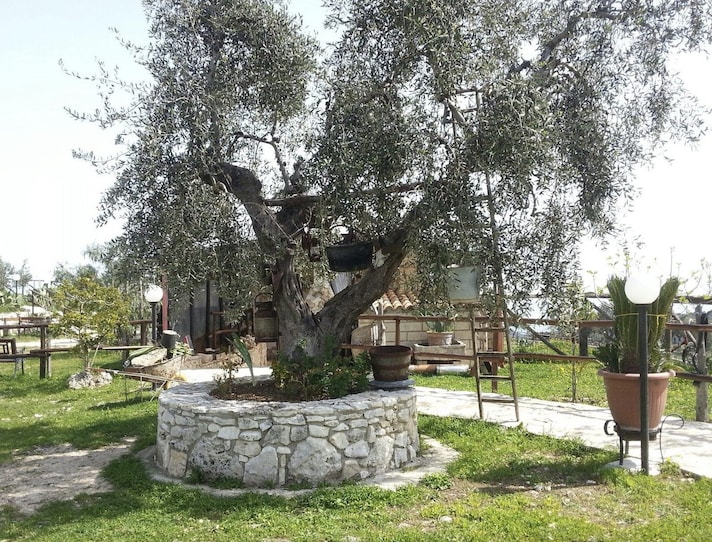 dove-mangiare-vieste-spendendo-poco-masseria-san-salvatore