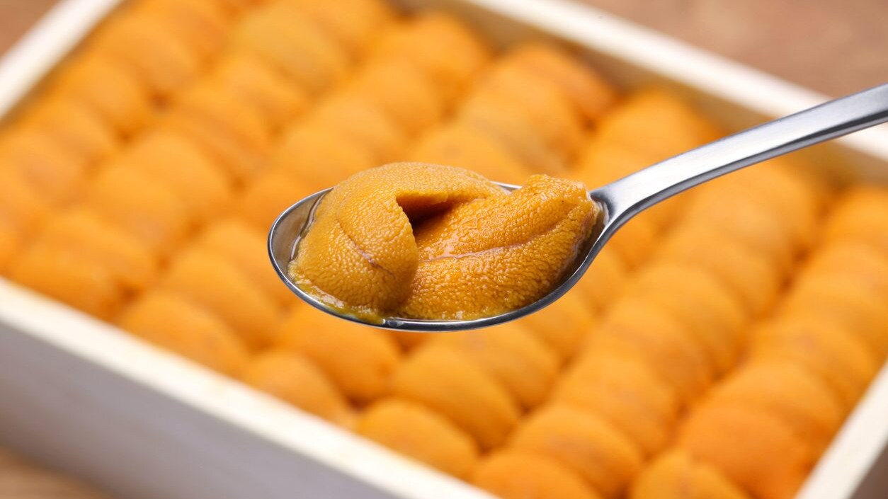 metodo-sostenibile-caviale-ricci-di-mare