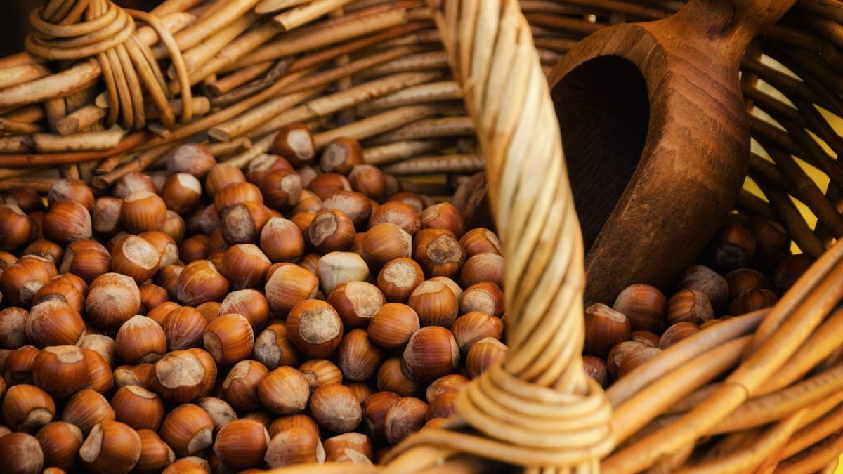 nocciole-crollo-produzione-italia