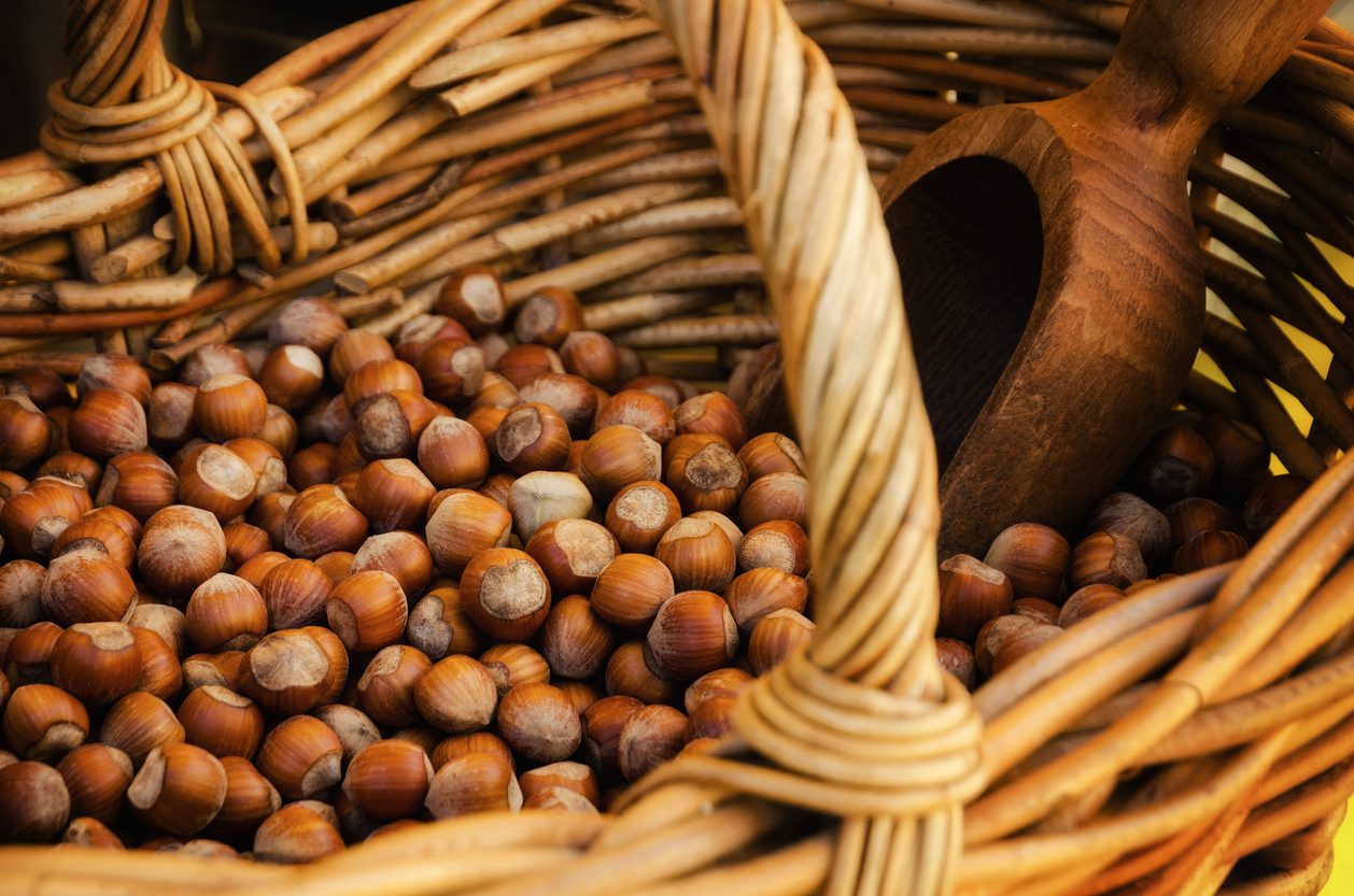 nocciole-crollo-produzione-italia