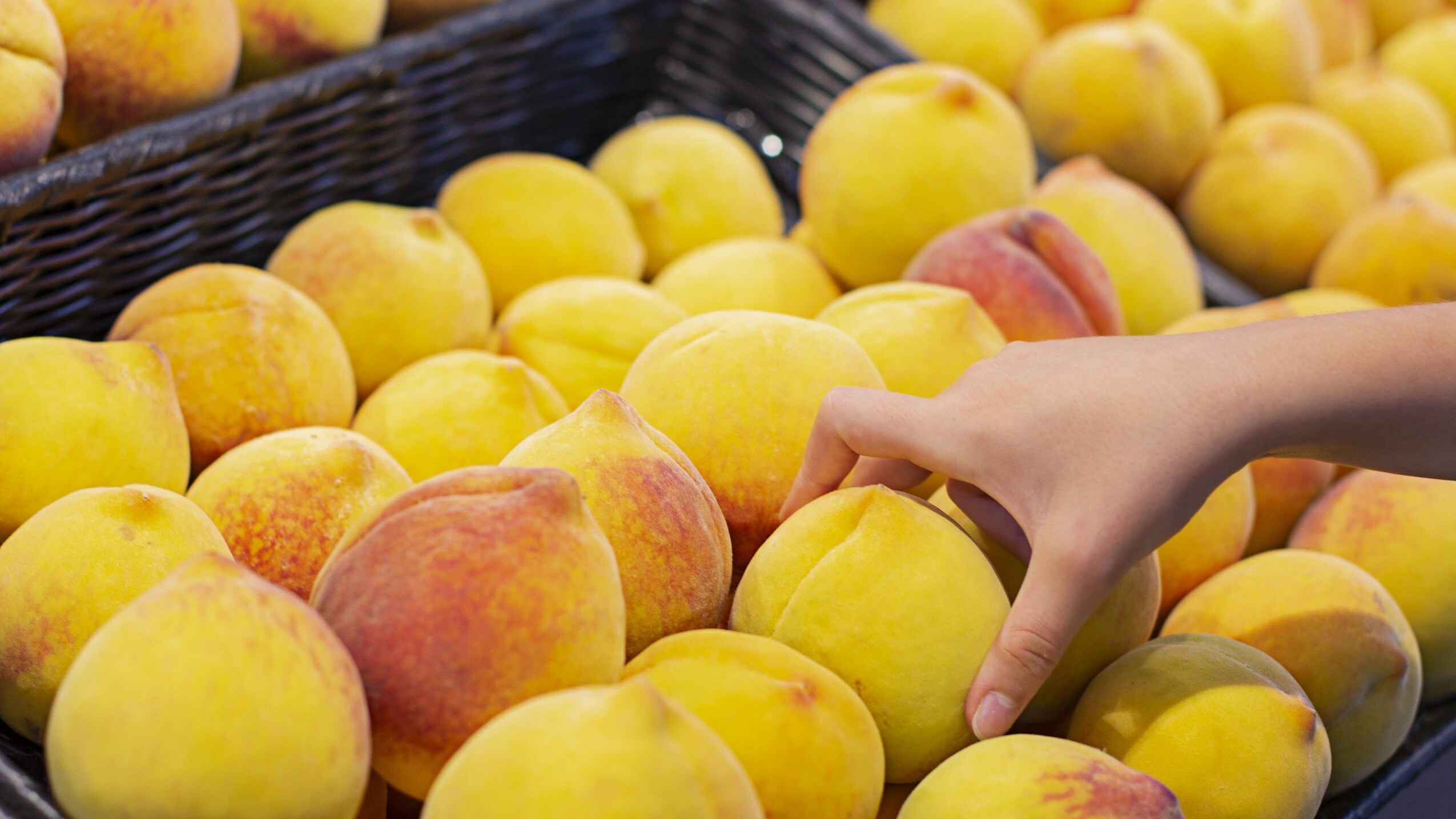 pesche-fukushima-harrods