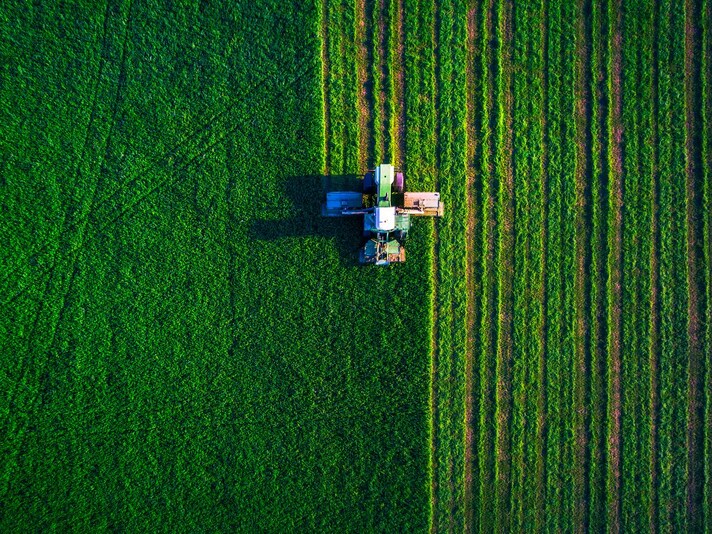 servizio-civile-agricolo