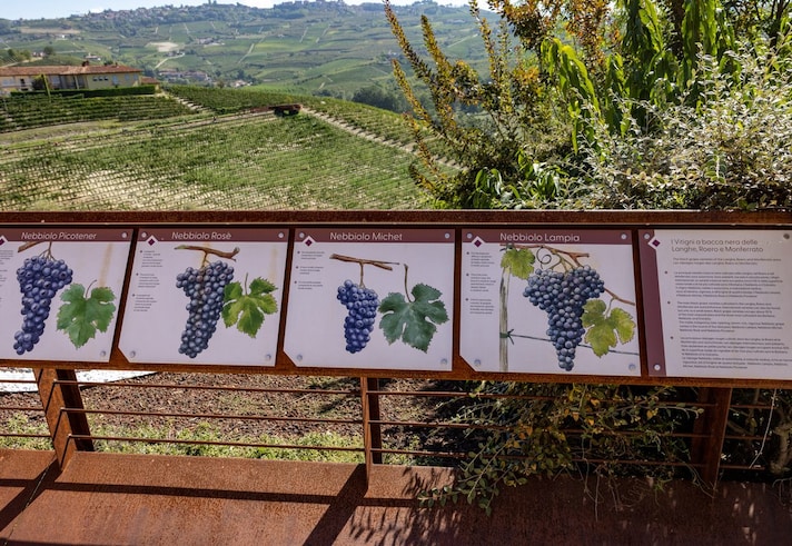 vino-italiano-piu-costoso