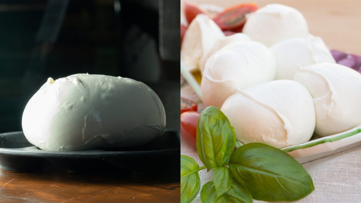 differenza-mozzarella-fiordilatte