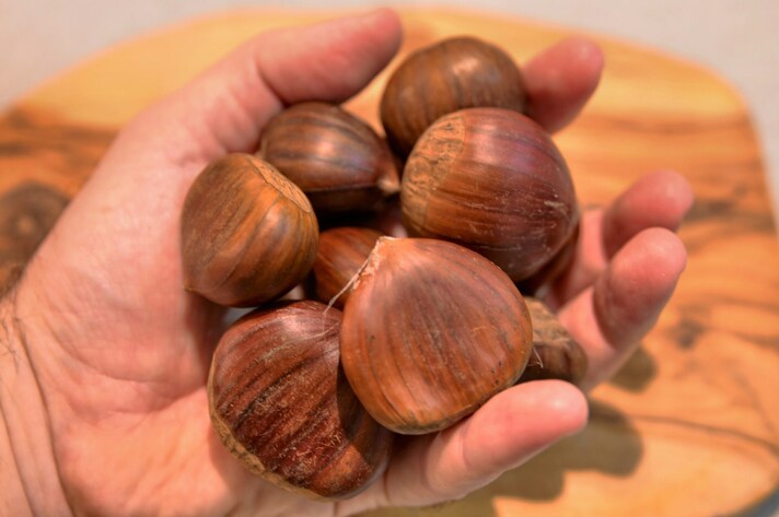 differenze-tra-castagne-e-marroni