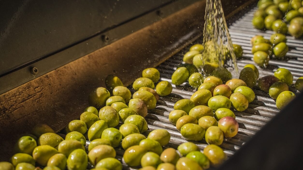 olio-italia-in-crisi