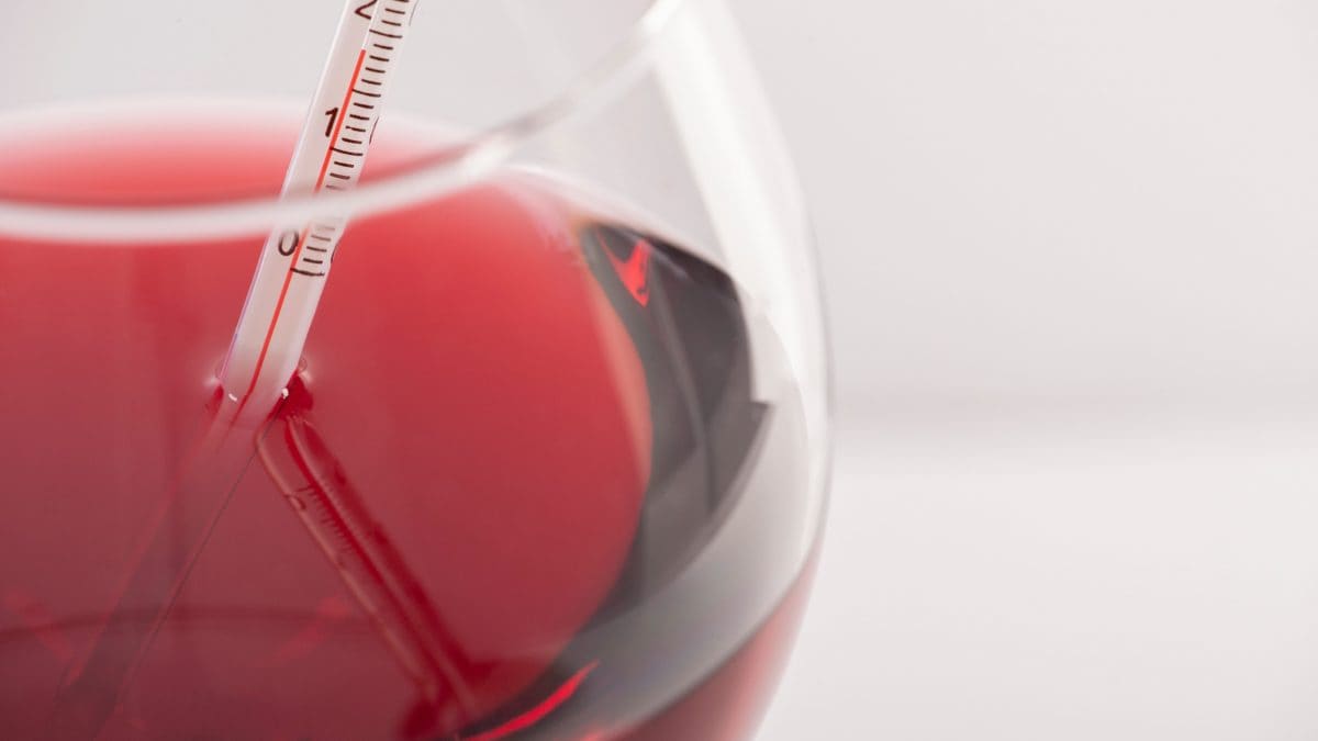guida-temperatura-servizio-vino