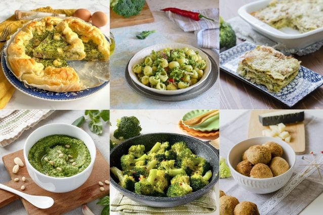 Ricette con i broccoli: 32 idee sfiziose e nutrienti da provare