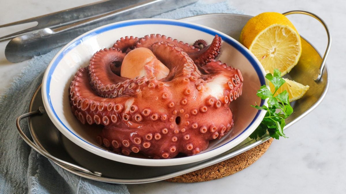 Polpo bollito