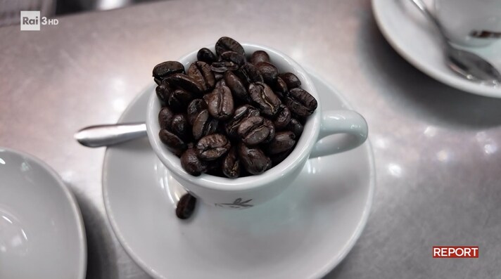 report-caffe