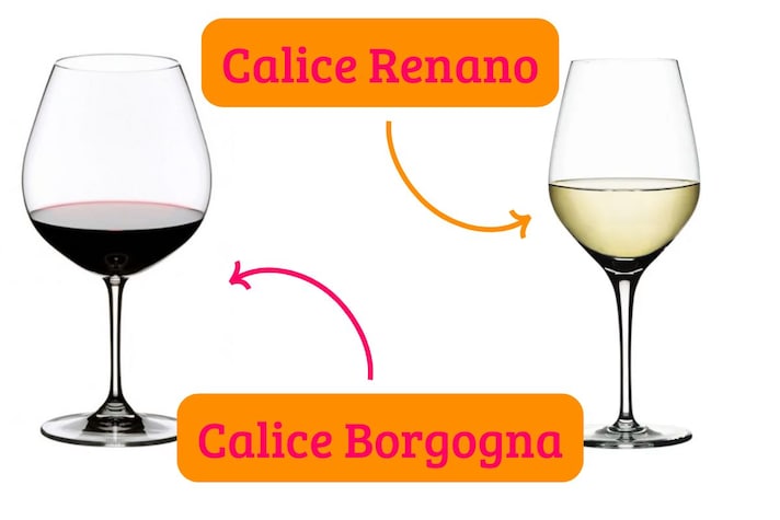 calici-da-vino-bianco-ideali