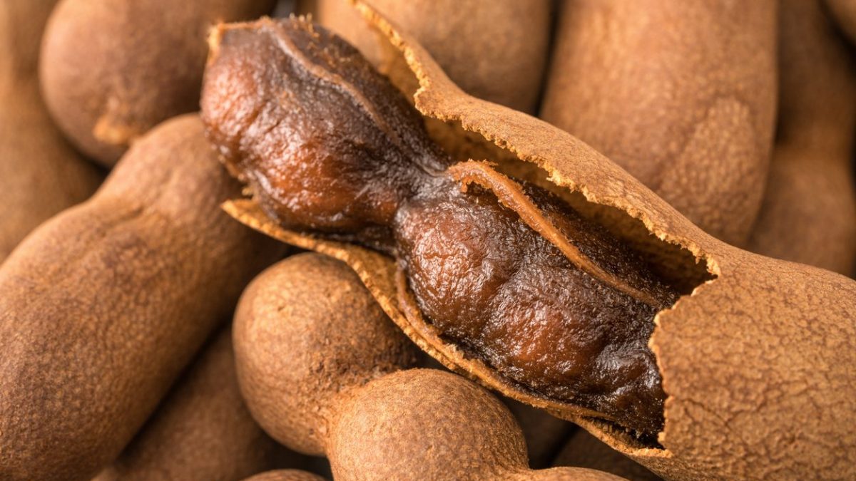 tamarindo-cos-e