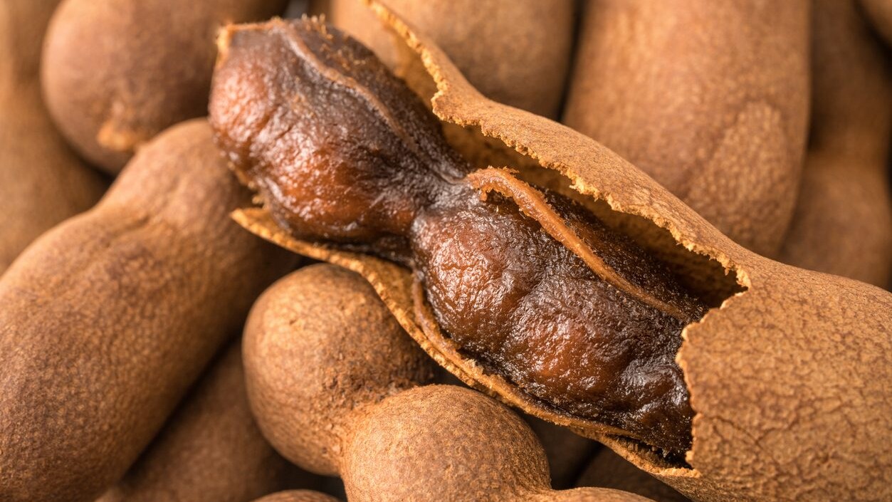 tamarindo-cos-e