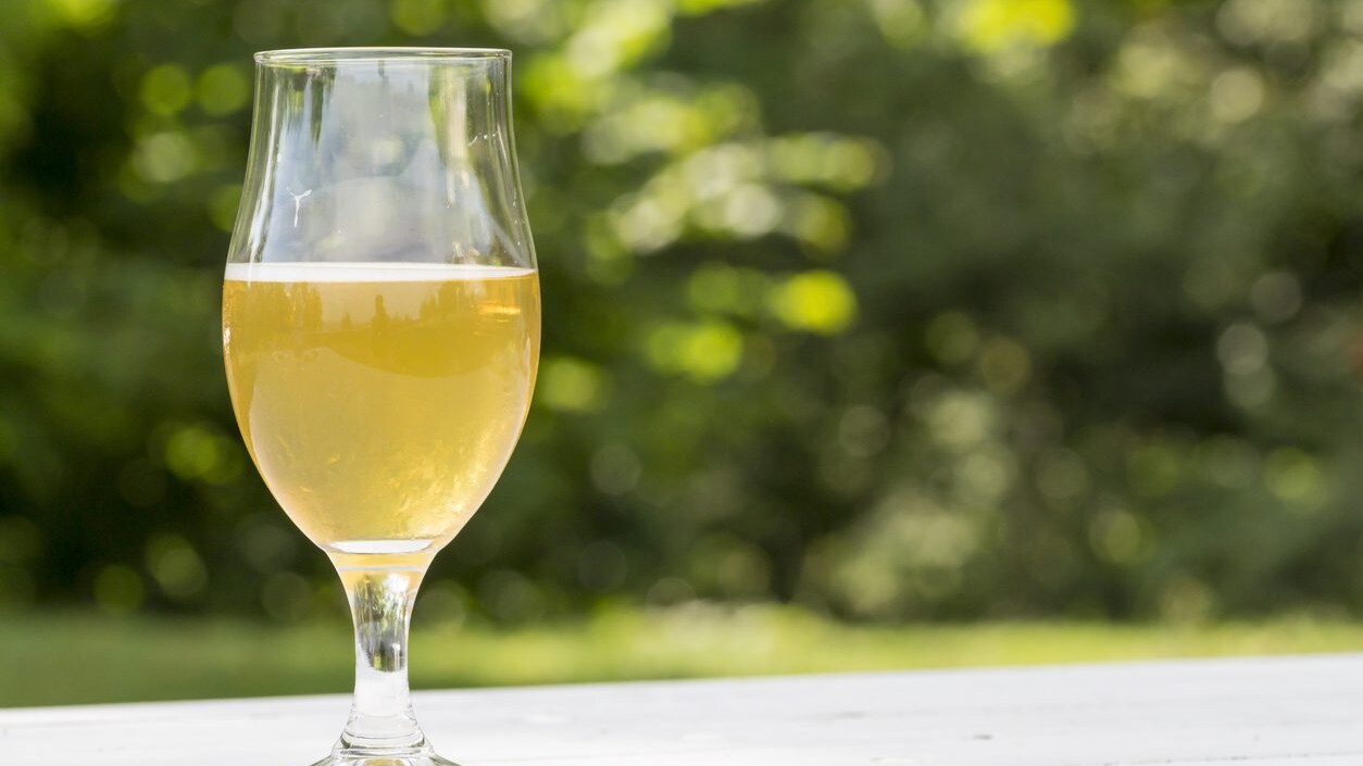 vini-pet-nat-cosa-sono