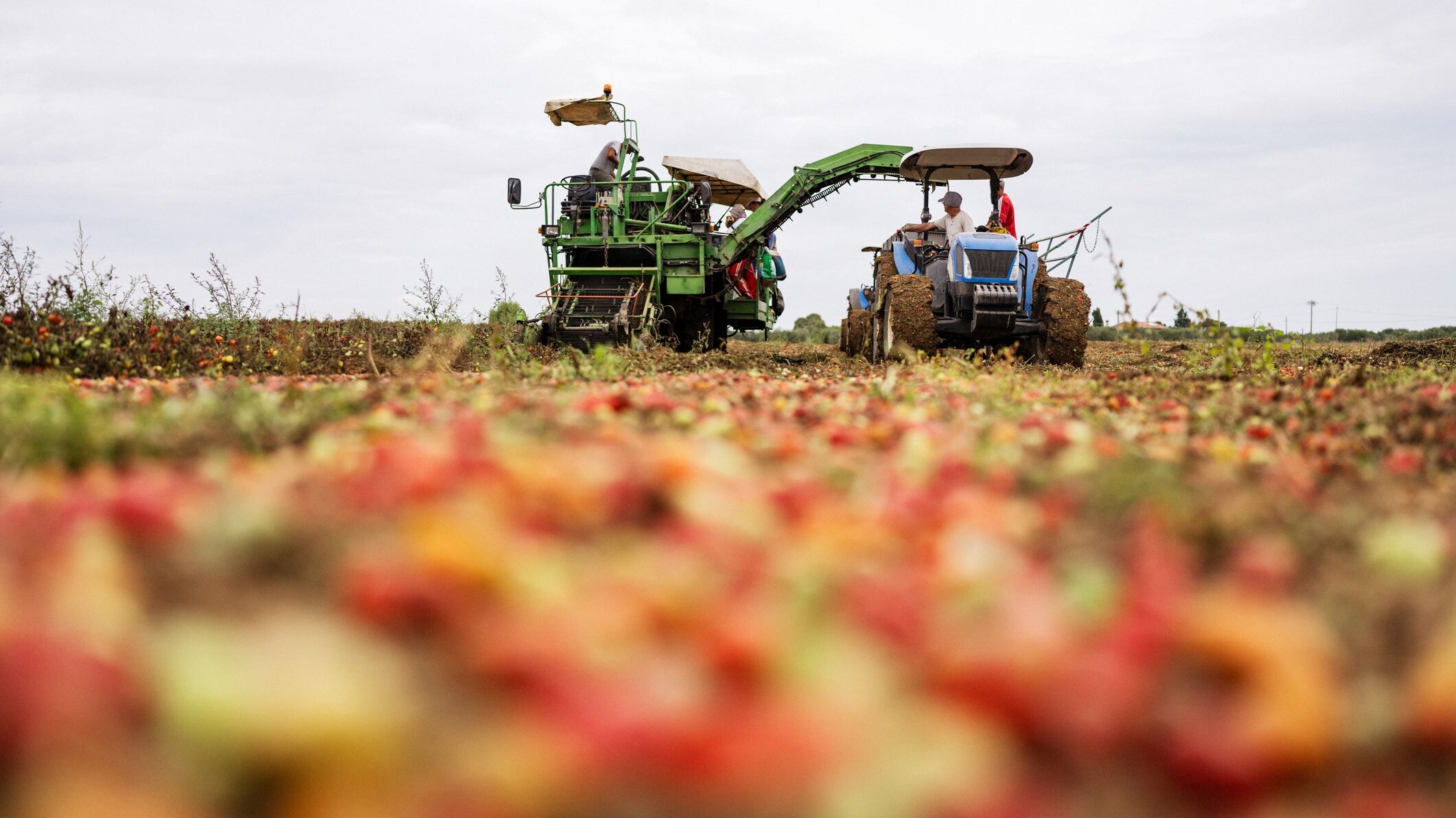 agricoltura-sostenibile-scarti-strade-innovazione
