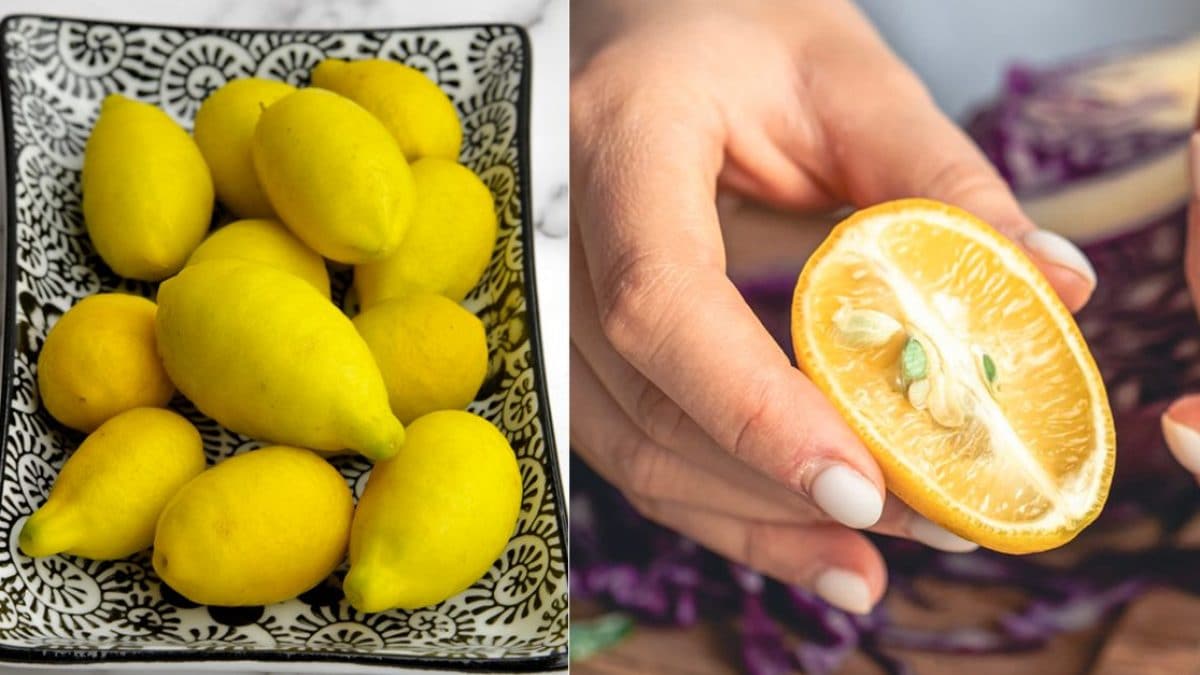 limequat