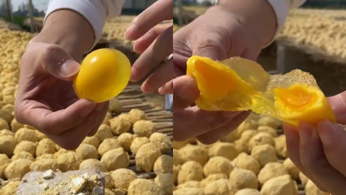 cosa-sono-changing-egg