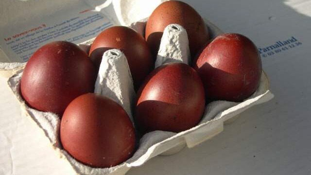 uova-marans