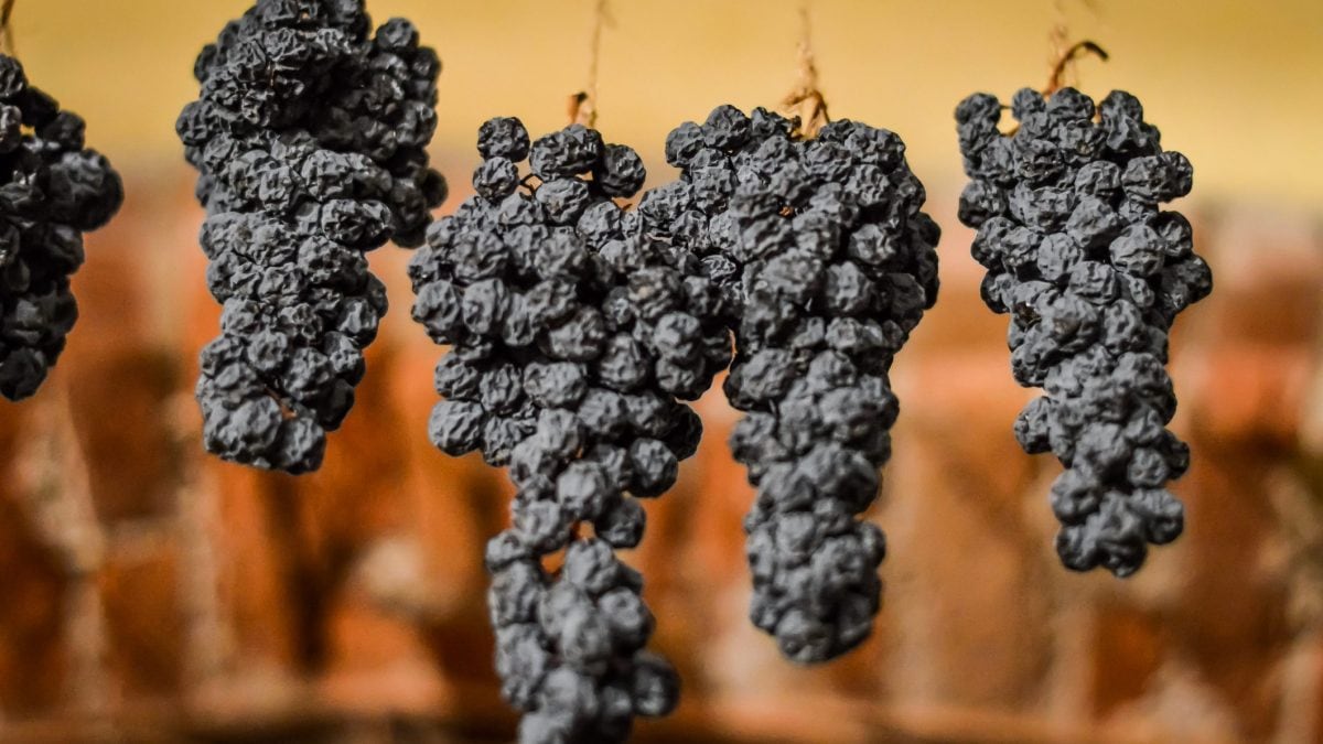 vino-passito