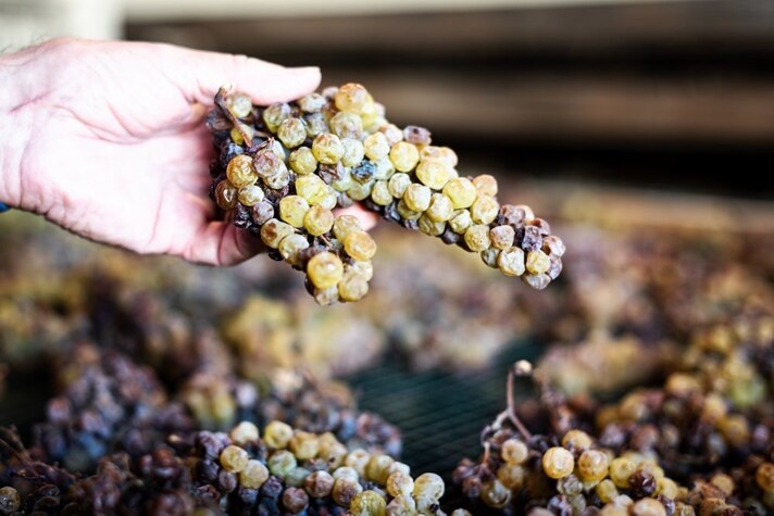 vino-passito-come-si-fa
