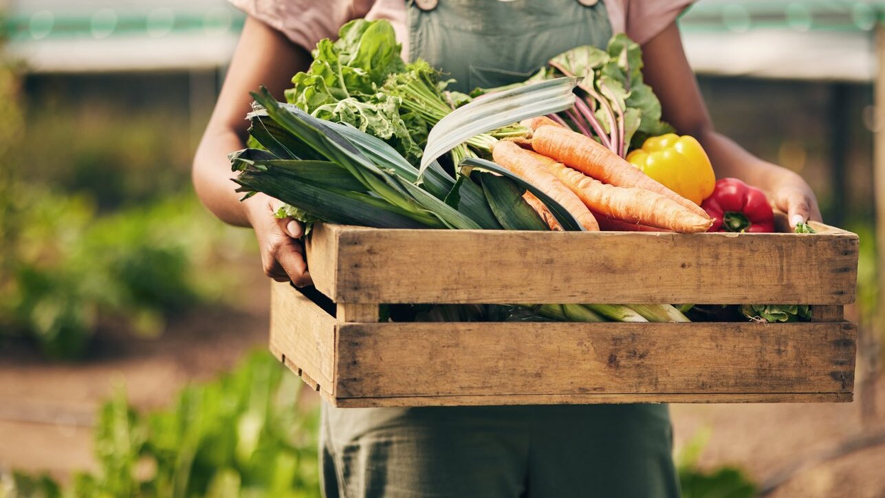 dieta-africana-occidentale