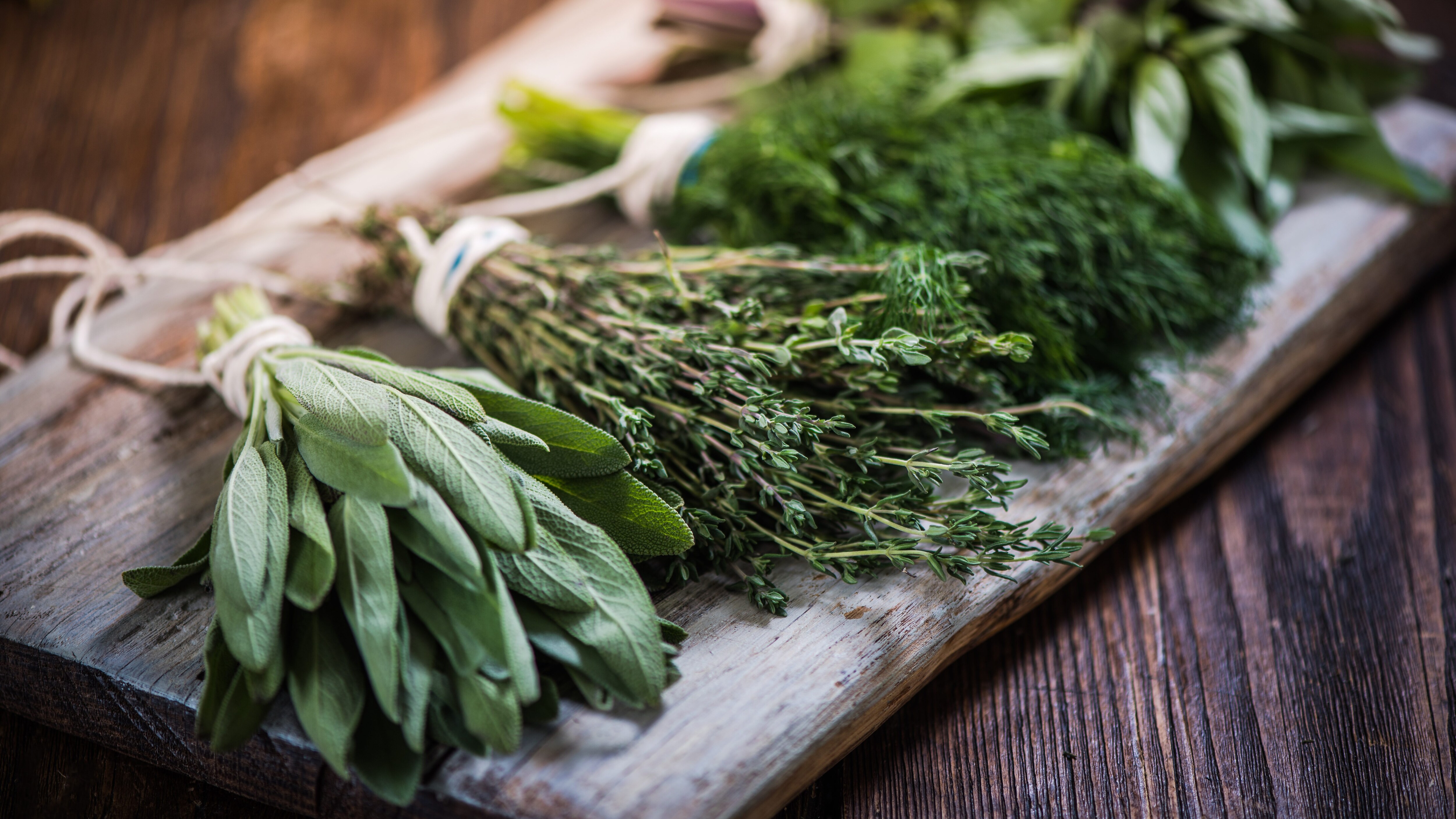 erbe-aromatiche-termoresistenti-termolabili