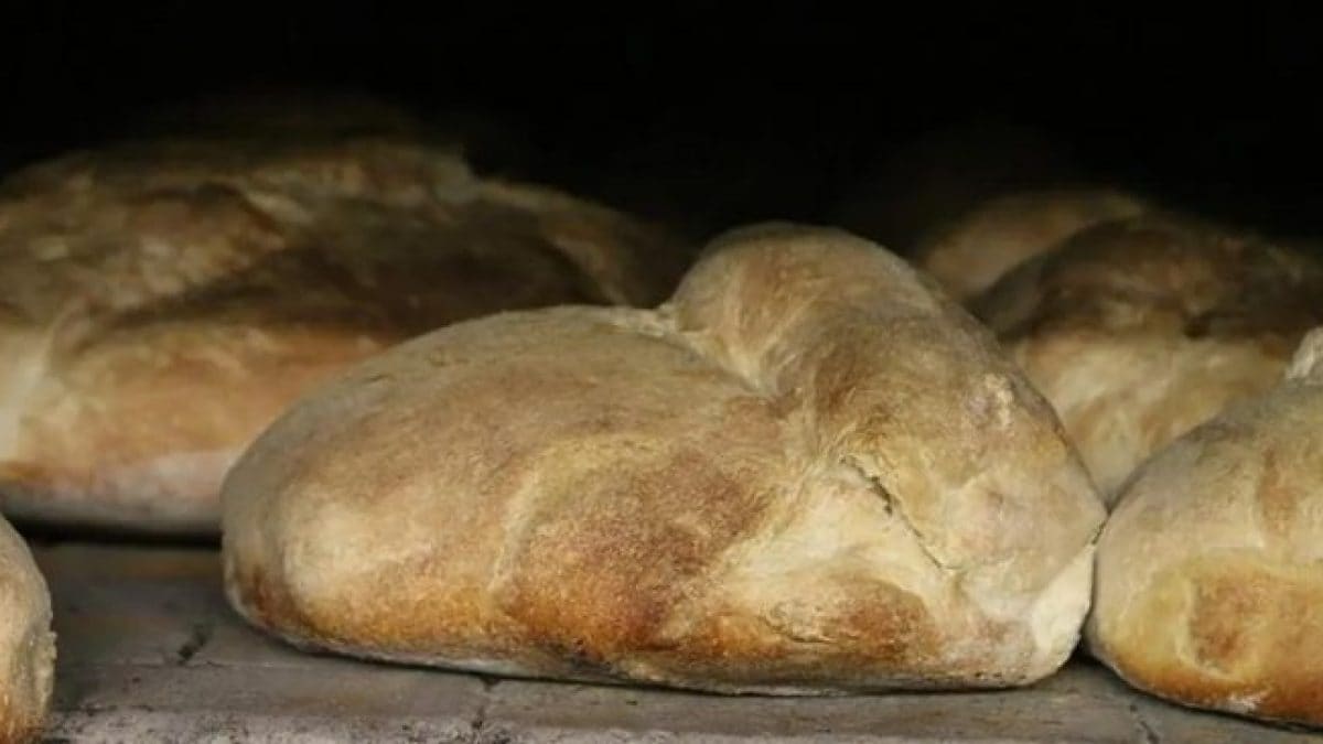 pane-di-cerchiara